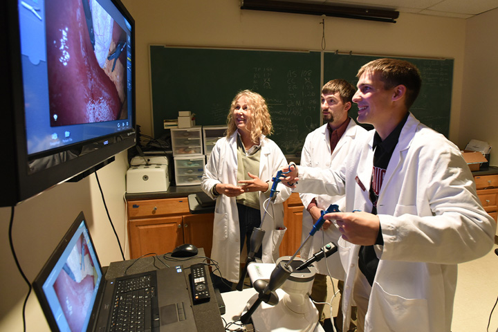 A fourth year student uses a virtual reality simulator to practice a canine laparoscopic gallbladder surgery.