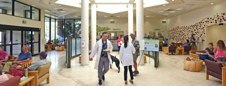 The Veterinary Teaching Hospital in a flurry of activity.