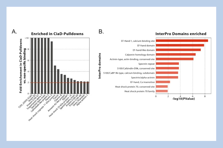 Diagram from research publication mentioned in article.
