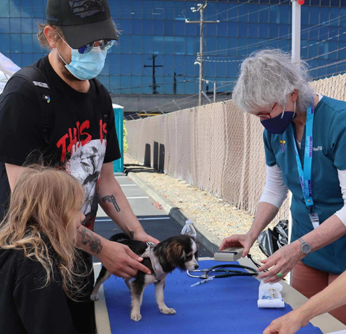A father and daughter with their tiny chihuahua mix dog as it is receiving care.