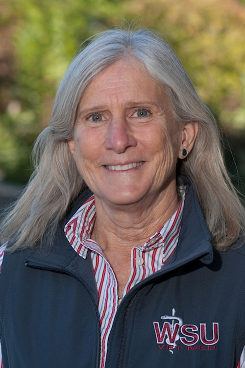 Dr. Margaret Wild outside the College of Veterinary Medicine.