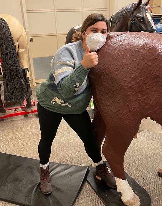 Georgiana practicing a procedure on a cow in the simulation lab.