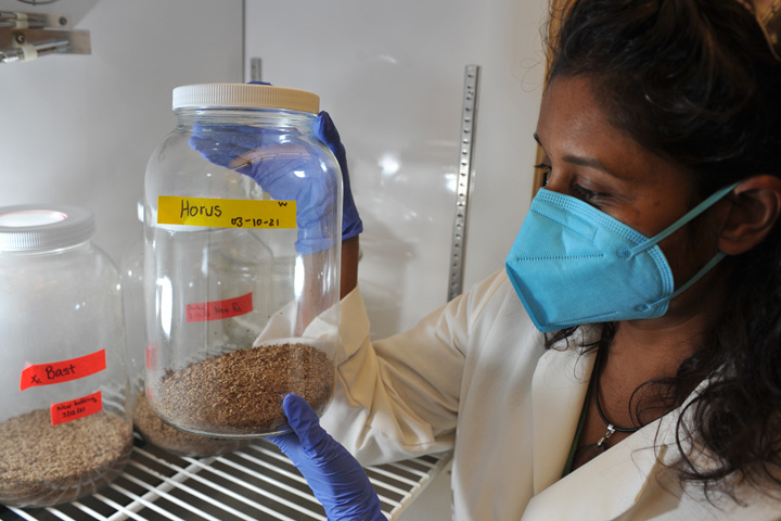 Viveka holding a jar of fleas.