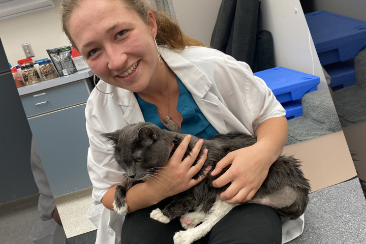 Sara, sitting on the floor in the vet hospital, and holding a gray and white shorthair cat.