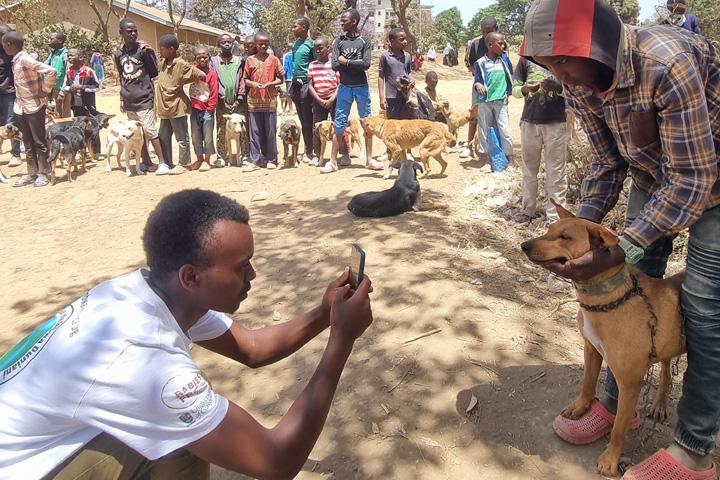 Picture being taken of a dog in Tanzania.