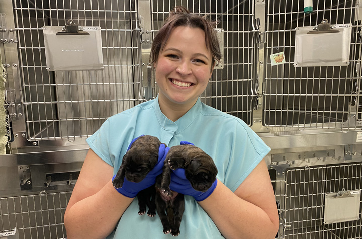 Jordan holding two very young puppies in the Veterinary Teaching Hospital.