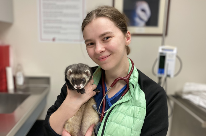 Kristen in the Veterinary Teaching Hospital and holding a ferret.