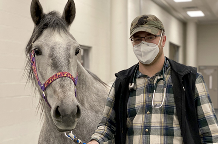Cord Kivi leading a horse in the vet hospital.