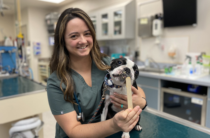 Sierra holding a Boston Terrier in the Veterinary Teaching Hospital.