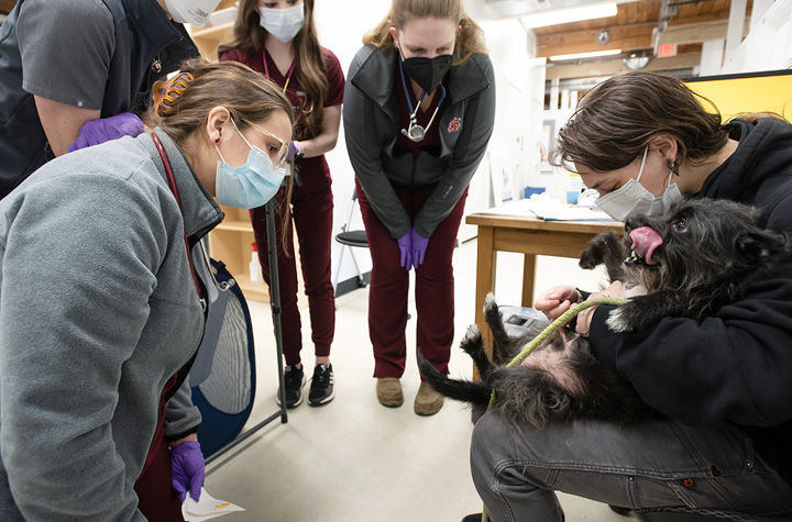 Fourth-year veterinary medicine student Caitlin Juneau, left, talks with Grace Stroklund, right, about her dog, Nugget, during a One Health clinic at the New Horizons youth shelter in Seattle.
