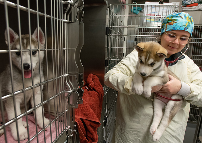 Student with puppies