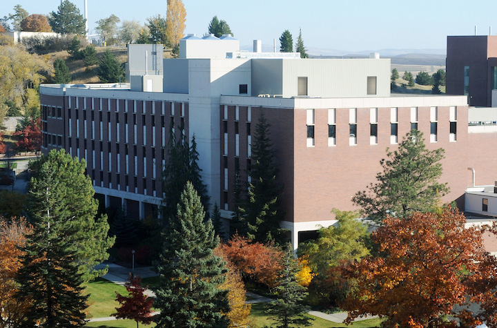 Bustad Hall from a distance, in the fall when the leaves are turning colors.