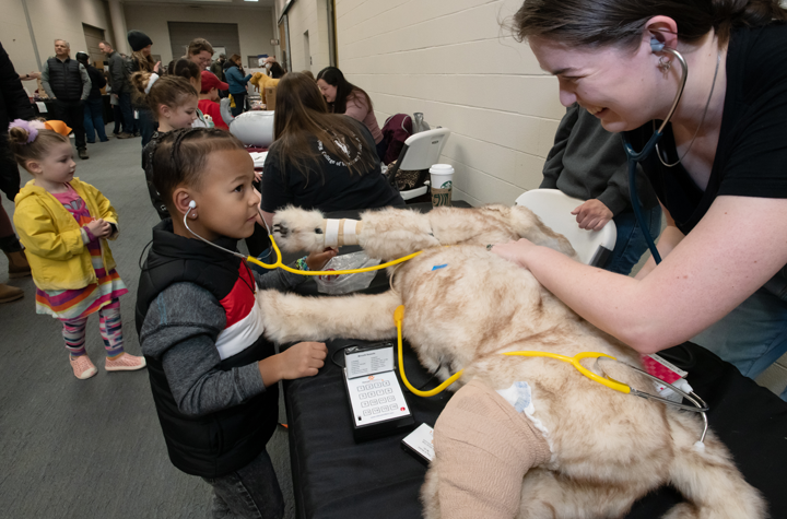 A hallway in the "barn" of the Veterinary Teaching Hospital, full of visitors. A young child is in the foreground listening with a stethoscope to the heartbeat of a simulated dog.