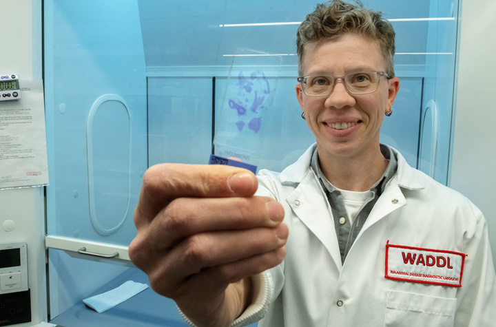 Chrissy Eckstrand in a WADDL lab.