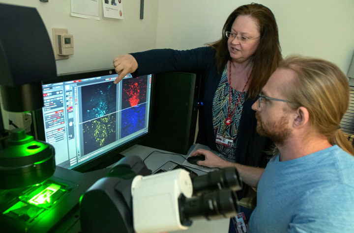 Rita Fuchs with PhD candidate, Jobe Ritchey. They are viewing a display showing microscopic views of brain cells.