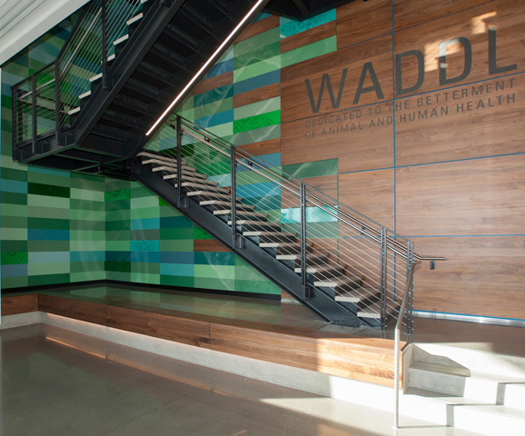 Photo of staircase in WADDL lobby.