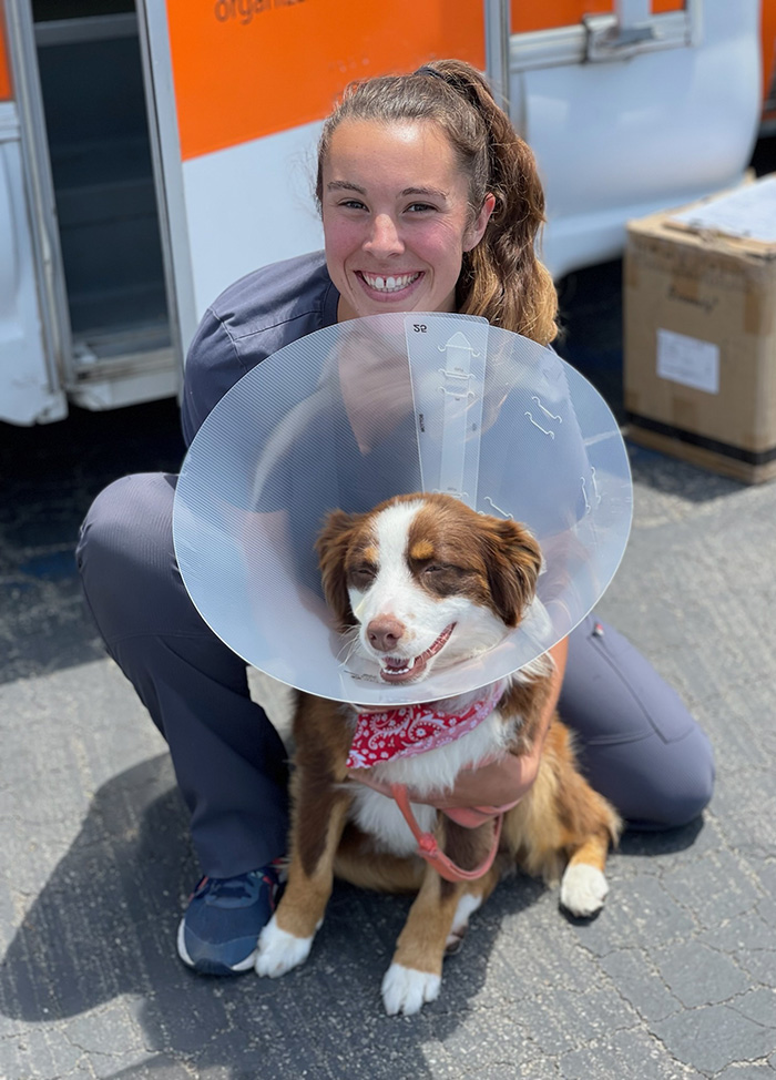 Rebecca with a small border collie who is wearing a cone.
