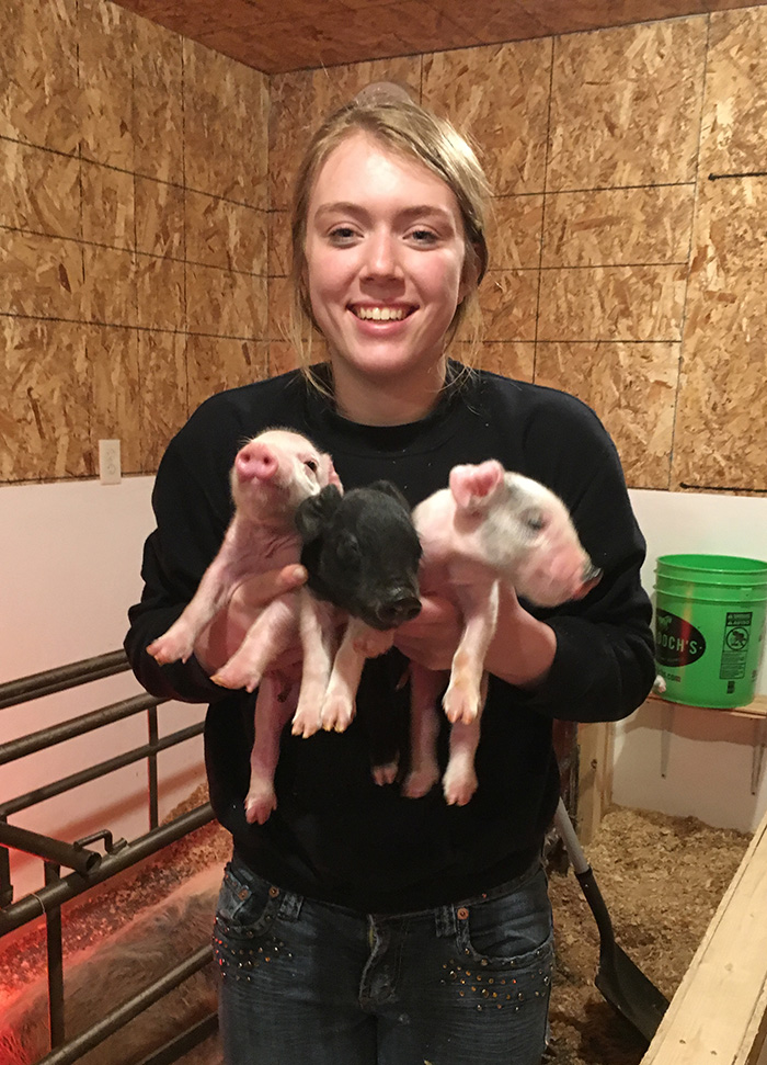 Lainee in a barn, holding three small piglets. This image is blurry because they are so wiggly.
