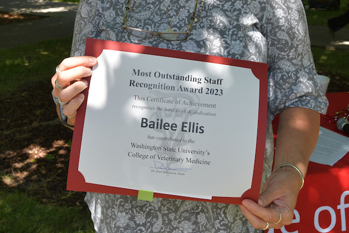 Close up pic of Bailee Ellis's certificate.
