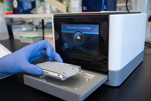 10x genomi s chromium