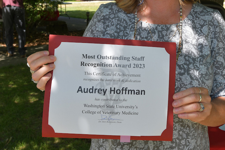 Close up photo of Audrey Hoffman's certificate.