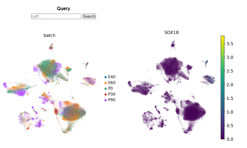 Bioinformatics graphic