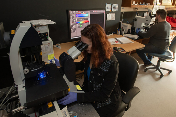 Allison Coffin, a neuroscientist with Washington State University's College of Veterinary Medicine looks through a microscope on Friday, Oct. 14, 2022, in her lab on the WSU Vancouver campus in Vancouver, Wash (photo by College of Veterinary Medicine/Ted S. Warren).