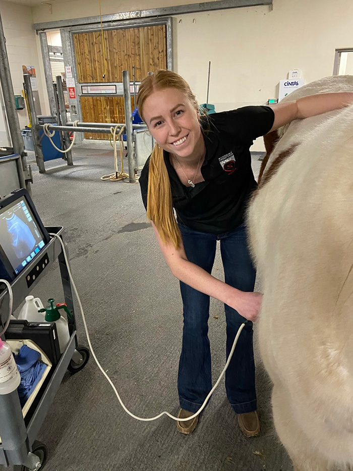 Elle performing an ultrasound on a horse in the barn at the Veterinary Teaching Hospital.