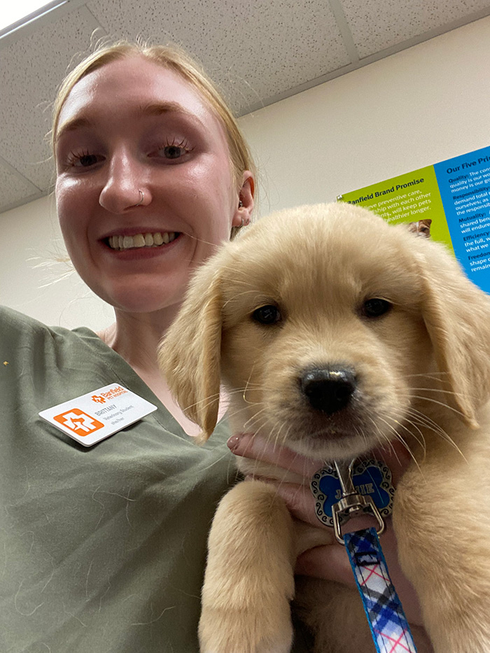 Selfie of Brittany with a golden lab puppy.
