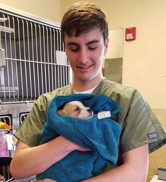 Jonah, in the teaching hospital, holding a very small puppy that is wrapped in a towel.