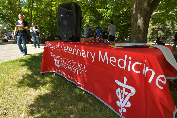 Main table set up on the lawn at the annual picnic.