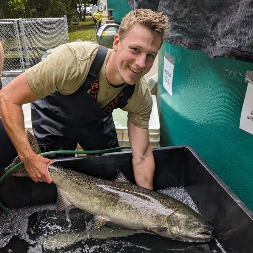 Charlie Stewart-Bates, a 2023 fourth year veterinary student participant and current veterinary mentor, holds a Chinook salmon adult prior to collecting samples for virus surveillance.