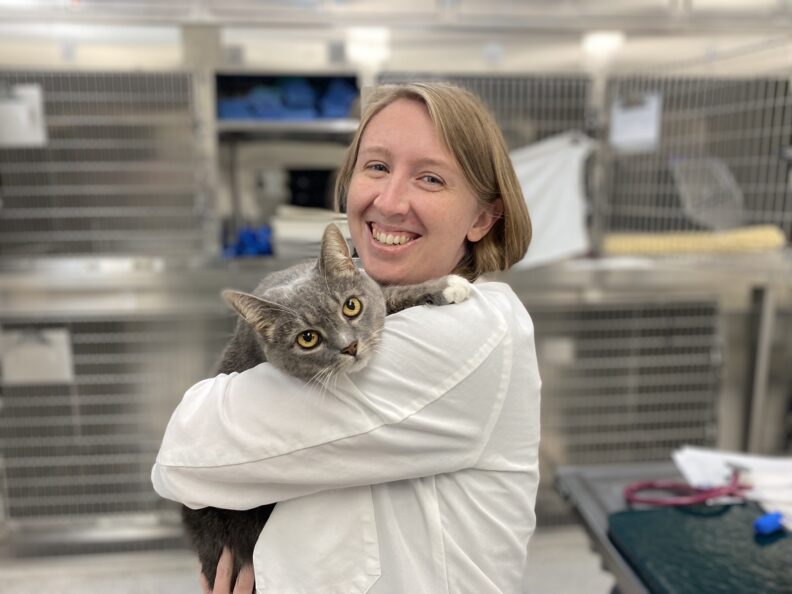 Courtney lovingly holding a grey cat.