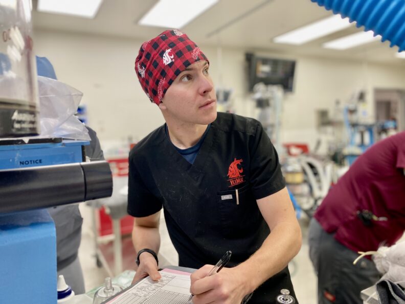 Max recording data on a chart mid-procedure.