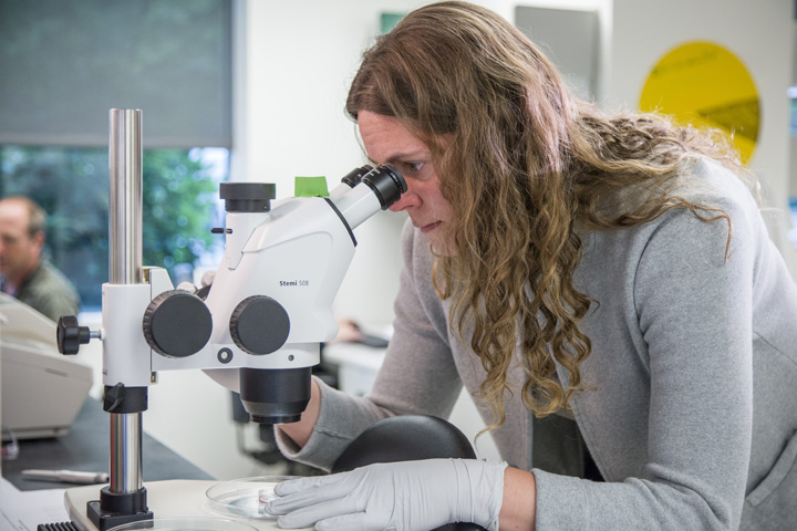 Jennifer Adair in her lab at the Fred Hutchinson Cancer Research Center in Seattle.