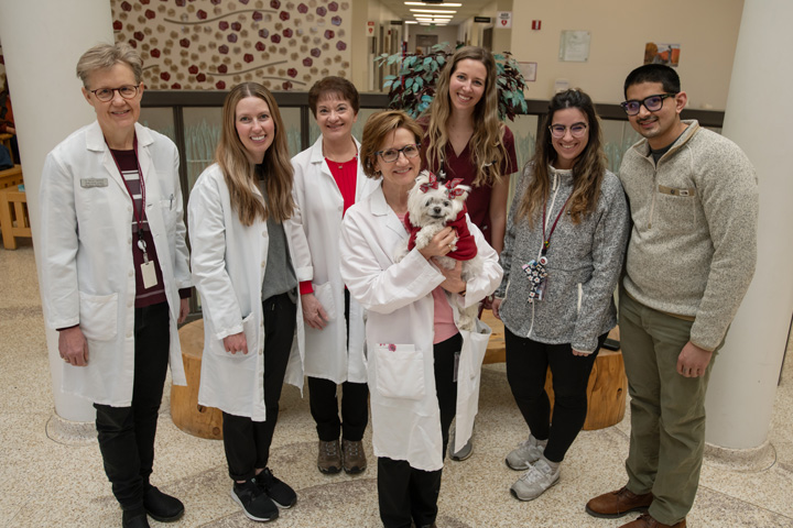 Team that cared for Mille.