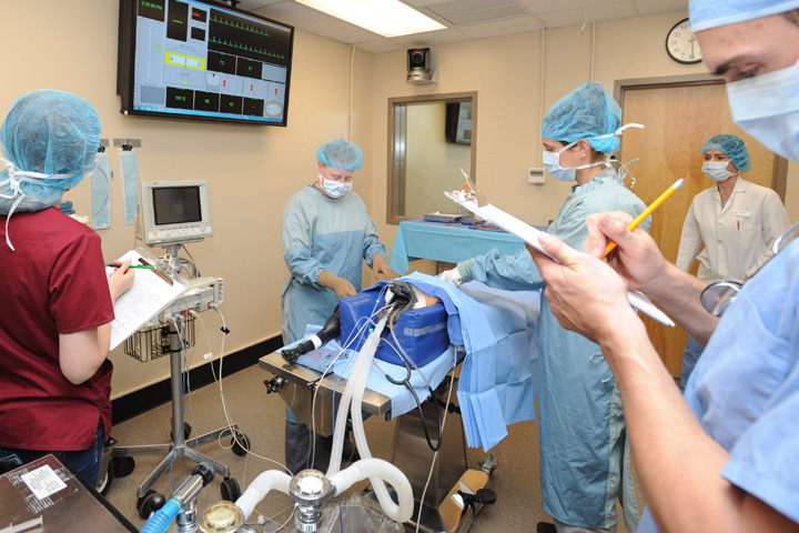 Student are performing a simulated surgery.