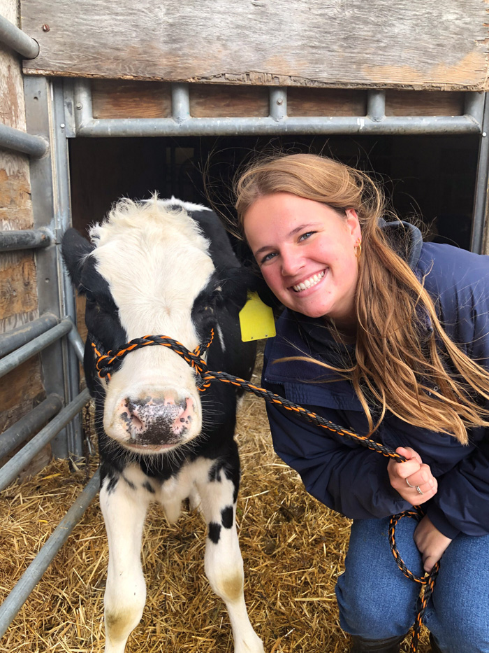 Abby crouched down next to a Holstein calf. Abby is very happy, the calf is rather annoyed.