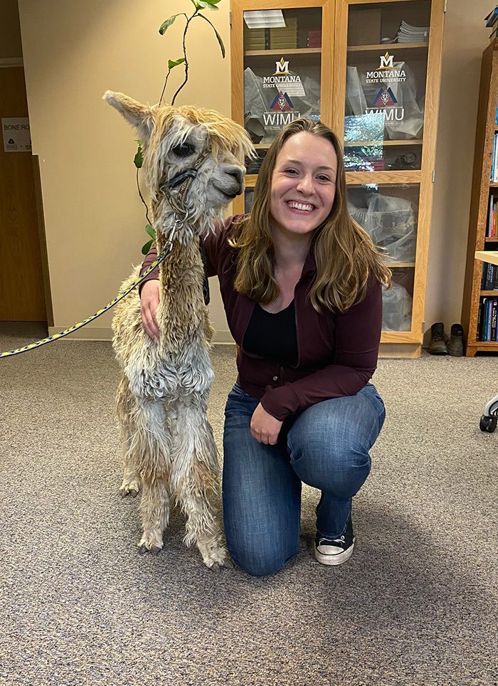 Anna with a small llama in an office.