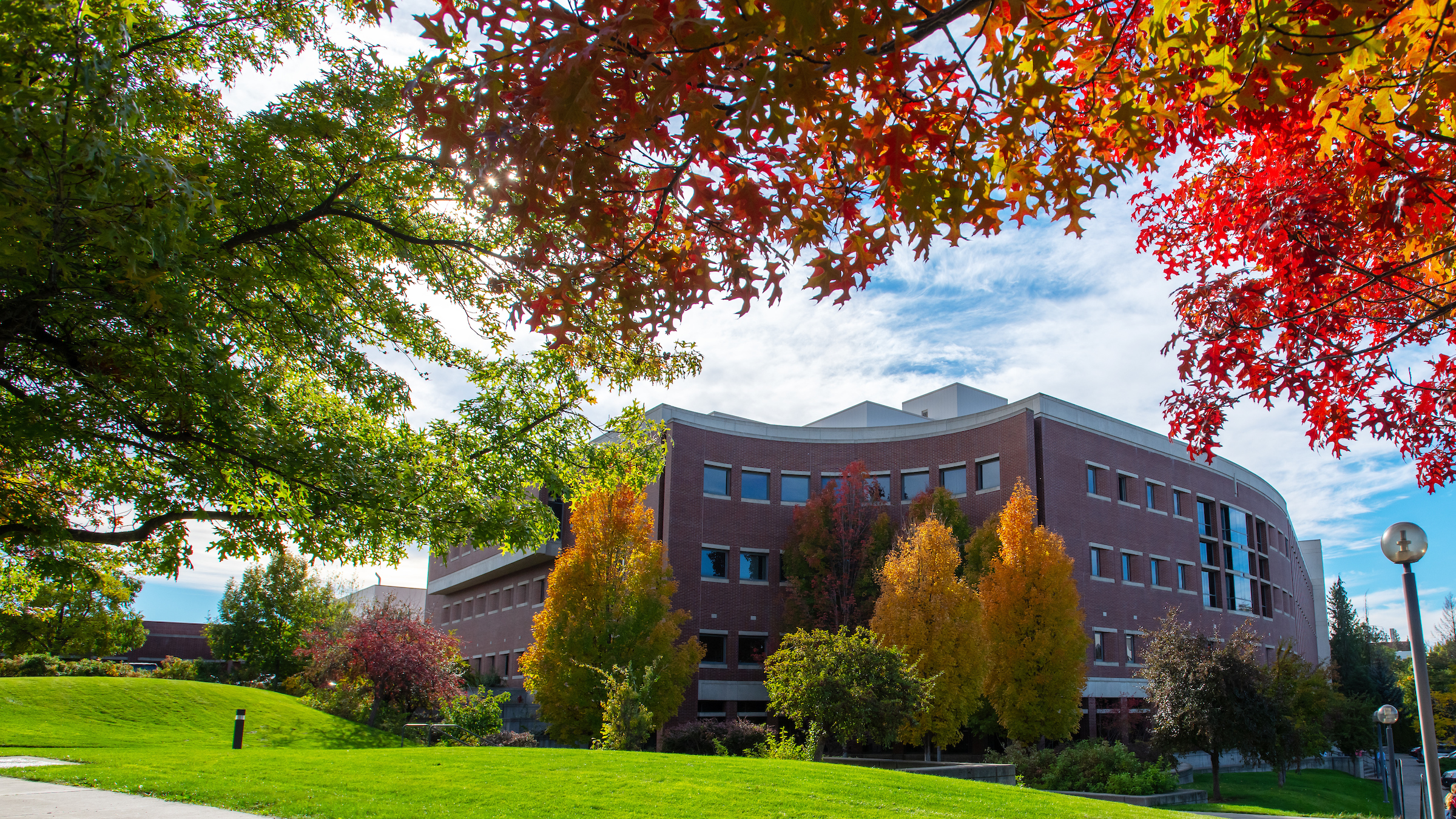 Winter shot of ADBF from the east.