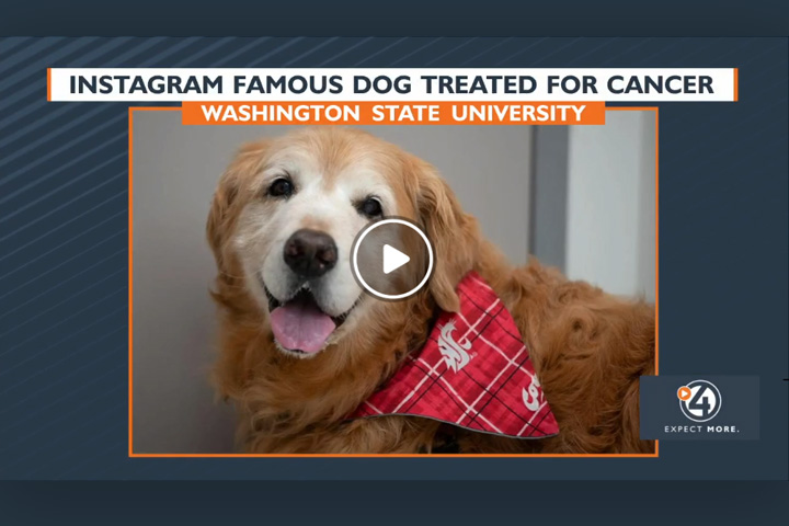 Screen grab of video interview.