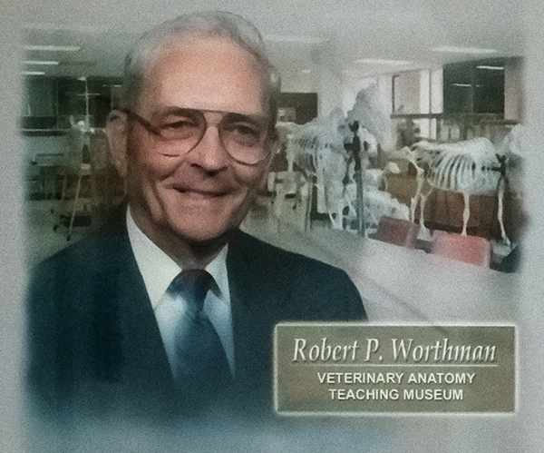 Photo collage of Dr. Robert Worthman, the Anatomy Museum, and a plaque.