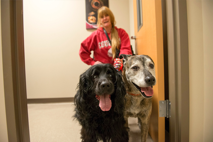 A woman and her 2 dogs at the Healthy People + Healthy Pets clinic in Spokane, Washington.