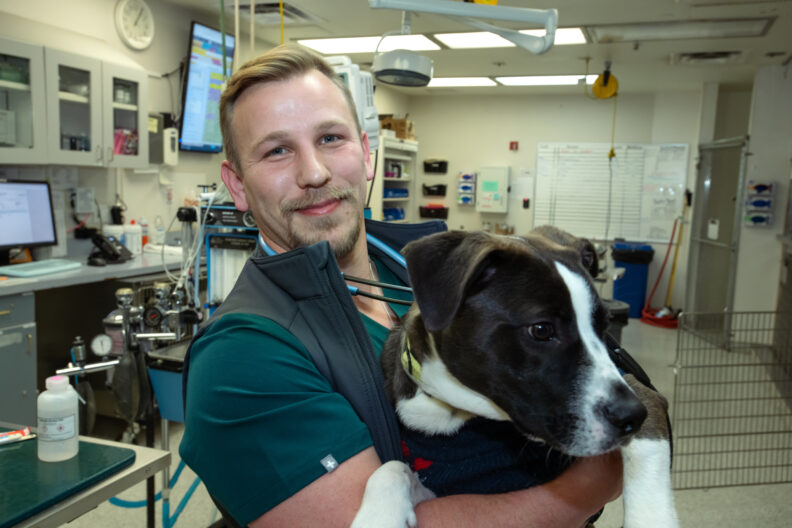 Fourth-year veterinary medicine student Cody Yeik poses for a photo after giving a dog an exam.