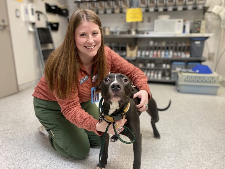 Claire Merchant, class of 2024 DVM student, with a dog that is very interested in the person behind the camera.