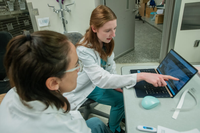 Carolyn Fisher, right, a fourth-year veterinary medicine student, looks at imaging results for Dash, a dog famous for his Instagram account.