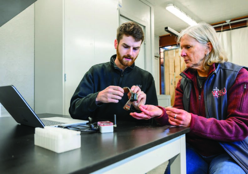 Trent Hill and Dr. Margaret Wild examining a telemetry anklet monitor.