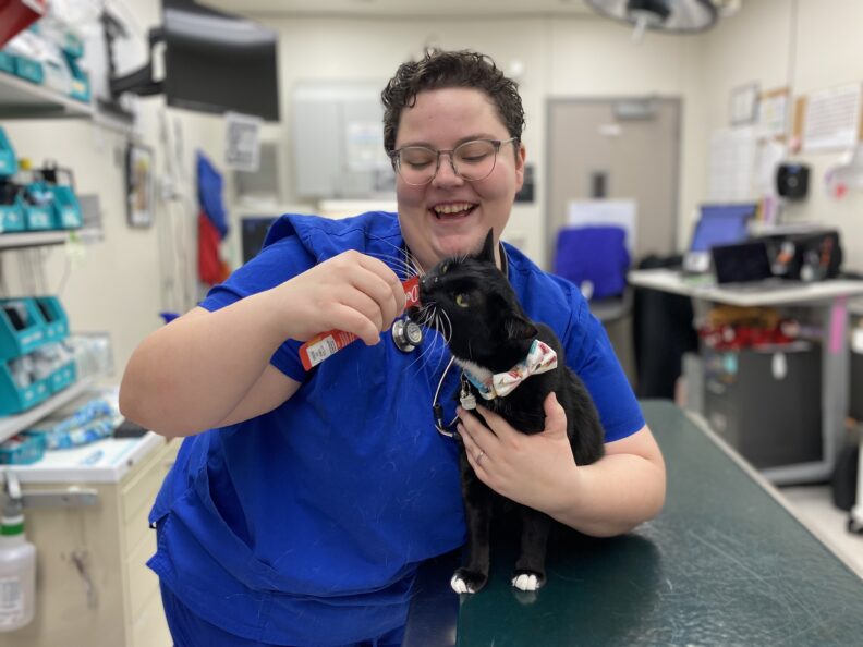DVM student Emma Law gives a black cat attention at the Veterinary Teaching Hospital.