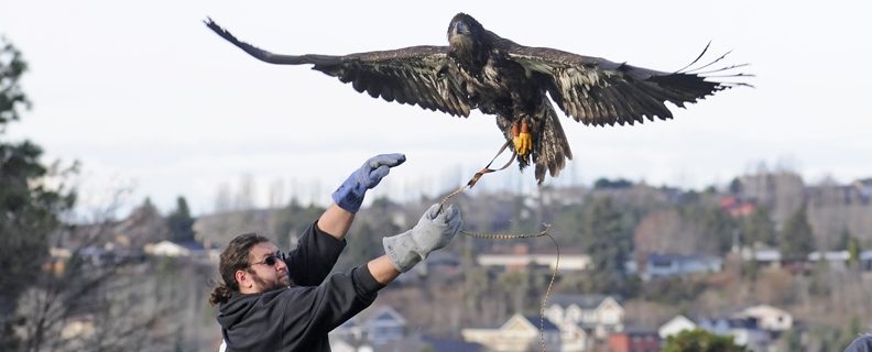 Morris in a practice flight.