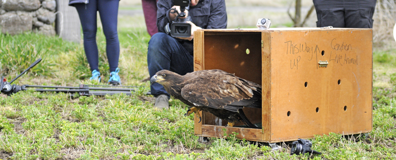 Morris just stepping out of a box at her release.